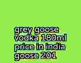 grey goose vodka 180ml price in india goose 201