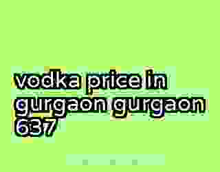 vodka price in gurgaon gurgaon 637