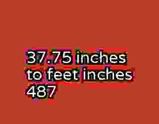 37.75 inches to feet inches 487
