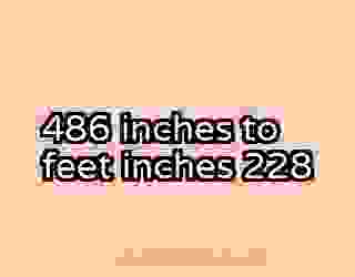486 inches to feet inches 228